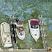 Bloom: Docked boats were surrounded by blue-green algae last month in Stuart, Fla., where a massive algae outbreak caked parts of the St. Lucie River.