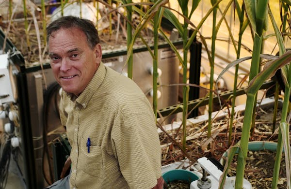John Baker of the Agricultural Research Service is studying how climate change may affect crop yields.