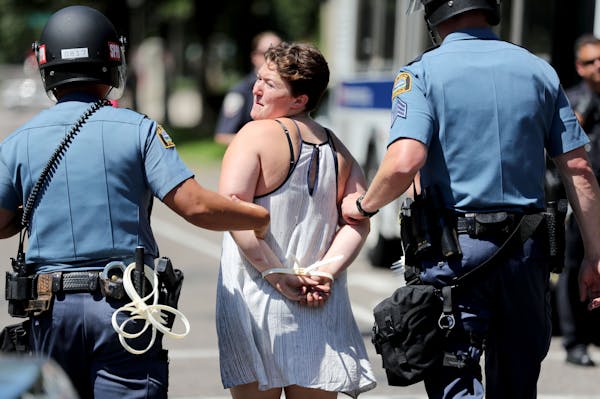 A protester was taken into custody near Gov. Mark Dayton's residence in St. Paul on Tuesday, July 26.