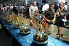 Yankees fans look at the seven World Series trophies won under George Steinbrenner's ownership of the New York Yankees before the baseball game betwee