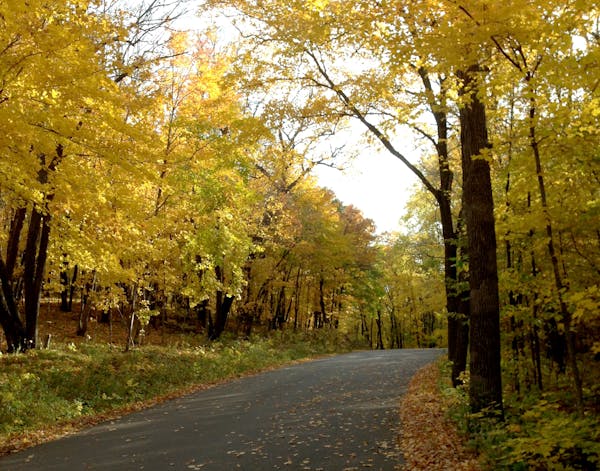 Maplewood State Park will be awash in fall colors during Leaf Days.