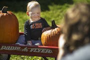 Henry Isaacson made the most of his pumpkin portrait session at Anoka County Farms.