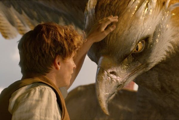 Watch the trailer: 'Fantastic Beasts and Where to Find Them'