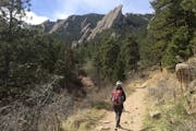Hiking in Boulder's Flatirons range in March meant that few others shared the trail.