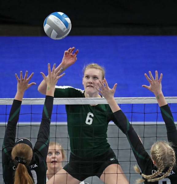 Maple Lake’s Brynn Paumen elevated above the net during play Saturday. Maple Lake beat Concordia 25-16, 25-17, 25-19.