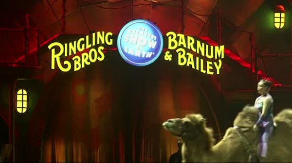 Ringling Bros. Circus to close after 146 years