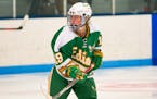 Anna Klein leads Edina with 20 assists and could be vital in setting up her teammates when the Hornets visit Lake Conference rival Eden Prairie on Sat