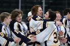 Hermantown goaltender Cade McEwen (35) gets a hug from Jesse Jacques (8) after getting their first place medals.