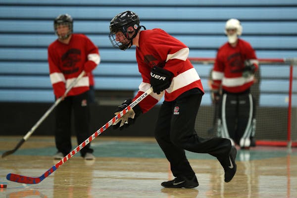 North Suburban's Josh Hamann (6), shown moving the puck down the court, scored five goals in the adapted floor hockey championship game in the cogniti