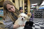 Meghan Stavropol, left, and Marissa Erdman visited puppies in the pet store at HarMar in Roseville.