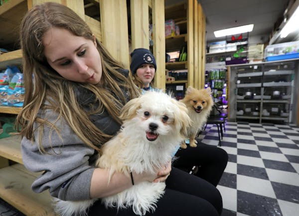 Meghan Stavropol, left, and Marissa Erdman visited puppies in the pet store at HarMar in Roseville.