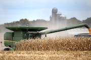 Credit is the financial lifeblood for farm operations and, like other aspects of agriculture, is in a consolidation trend.