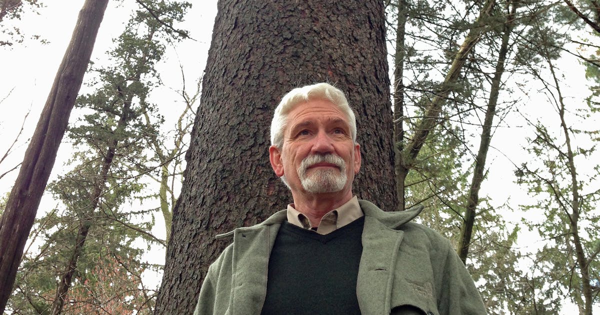 Tom Kroll, recent forester for the St. John's Abbey Arboretum, applied a Benedictine approach