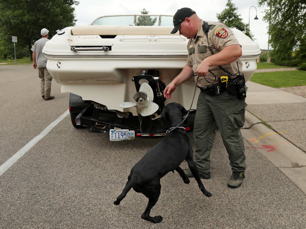 The Minnesota Department of Natural Resources has trained four dogs to detect zebra mussels carried on watercraft and alert handlers to them.