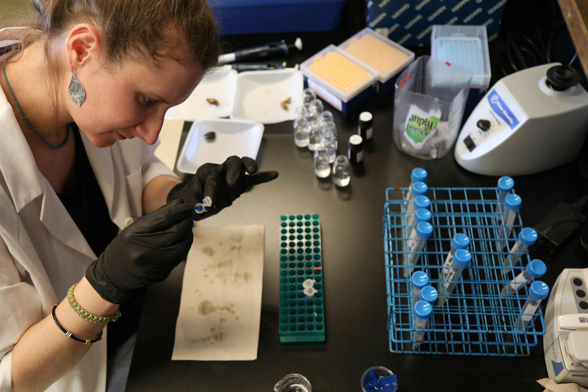 Sophie Mallez extracted DNA from a zebra mussel. Decoding its DNA profile could reveal how to kill the invasive species.