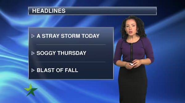 Afternoon forecast: Scattered showers, high of 85