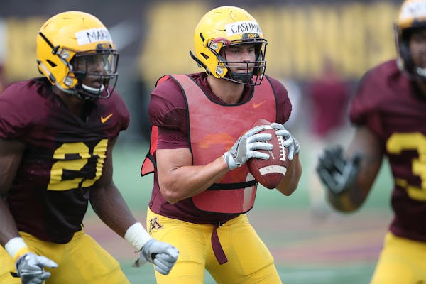 Linebacker Blake Cashman was the Gophers' sacks leader in 2016, but the Gophers see him excelling in many roles.