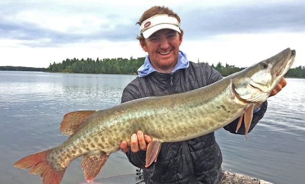 Muskie fishing on Lake of the Woods’ Big Narrows — which lies about halfway between Minnesota’s Northwest Angle and Kenora, Ontario — can quic