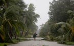 A person walks through a street lined with debris and fallen trees as Hurricane Irma passes through Naples, Fla., Sunday, Sept. 10, 2017. (AP Photo/Da