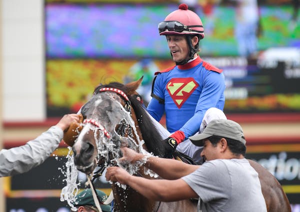 Jockey Quincy Hamilton had a view as handlers cooled Blackhawk’s Sis after a victory Saturday.