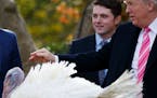 President Donald Trump pardons Drumstick during the National Thanksgiving Turkey Pardoning Ceremony in the Rose Garden of the White House, Tuesday, No