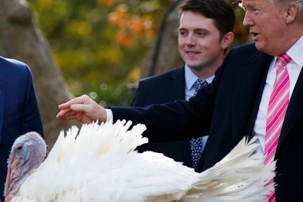 President Donald Trump pardons Drumstick during the National Thanksgiving Turkey Pardoning Ceremony in the Rose Garden of the White House, Tuesday, No