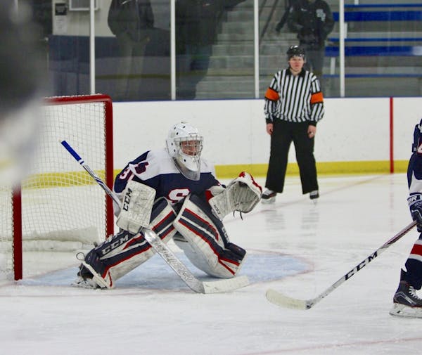 In six games (all victories), St. Francis/North Branch goalie Rachel Miller has posted four shutouts and a .979 save percentage (188 saves out of 192 