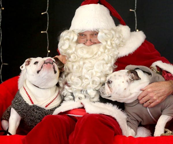 Pets line up for photos with Santa