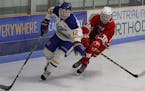 St. Michael-Albertville defenseman Garrett Sandberg skated the puck out of the corner of the Knights' zone with North Branch forward Cody Croal in pur