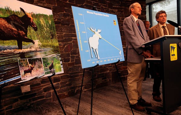 DNR biologist Steve Merchant in 2013 at a news conference describing moose decline.