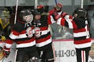 Top boys' hockey games: Centennial, Duluth East collide in 2A duel of unbeaten teams