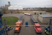 CHS runs a grain operation in Savage. A provision in the new tax law favors cooperatives such as CHS over private firms. (AARON LAVINSKY/Star Tribune 