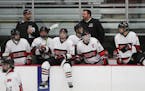 Elk River can improve its chances for the second seed in the Class 2A, Section 7 playoffs by completing a sweep of the regular-season series with Ando