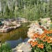 Strawberry Park Hot Springs draws visitors year-round to Steamboat Springs, a mountain town in Colorado’s Rocky Mountains.