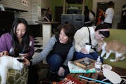 Tasha Lauj, left, of St. Paul and Diane Aronson, center, of St. Louis Park pet Tinkerbell as Mona Pougiales gave a kiss on the head to Nani at the Caf