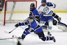 Eastview High forward Nate Bordson (19) defends on a shot on goal during the boys' hockey game versus Eagan High Saturday, Jan. 27, 2018, in Eagan, MN