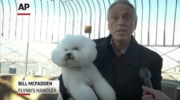 America's top dog visits Empire State Building