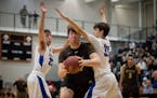 Boys' basketball: Apple Valley too much for Eastview as Eagles return to state