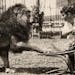Frank Lewis Lion tamer
Lewis, who performed under the stage name Major John Dumond, was known to “rule by kindness” with his lions ... but that di