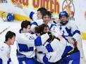 Sticks and gloves flew as Minnetonka celebrated their 5-2 2A championship victory over Duluth East Saturday night. ] AARON LAVINSKY � aaron.lavinsky