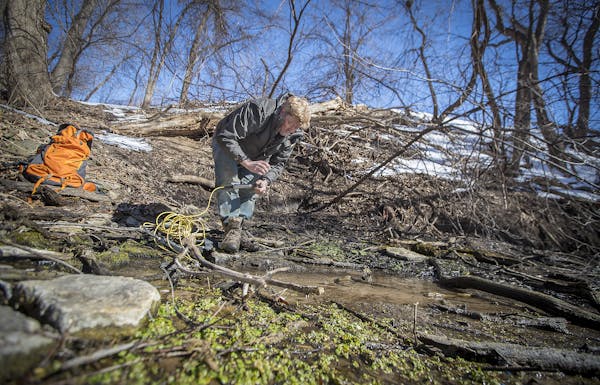 St. Paul caver, urban explorer, writer, historian and DNR research analyst Greg Brick checked the water temperature in a spring hidden near the Mall o