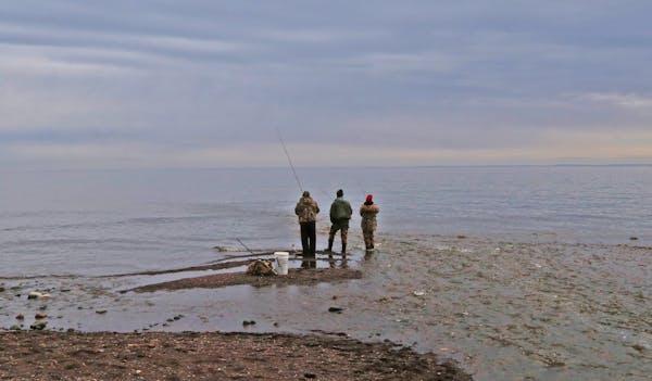 Fishing at the mouth of the French River, along Minnesota’s North Shore, three anglers tried their luck for Kamloops, a type of rainbow trout. The o