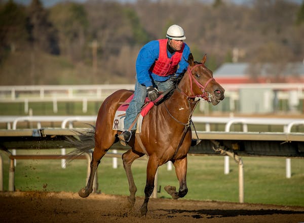Trainers and horses just recently were able to get on their usual spring training tracks at Canterbury Park in Shakopee.