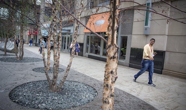 Pedestrians strolled Wednesday along Nicollet Mall, where some new trees are dying.