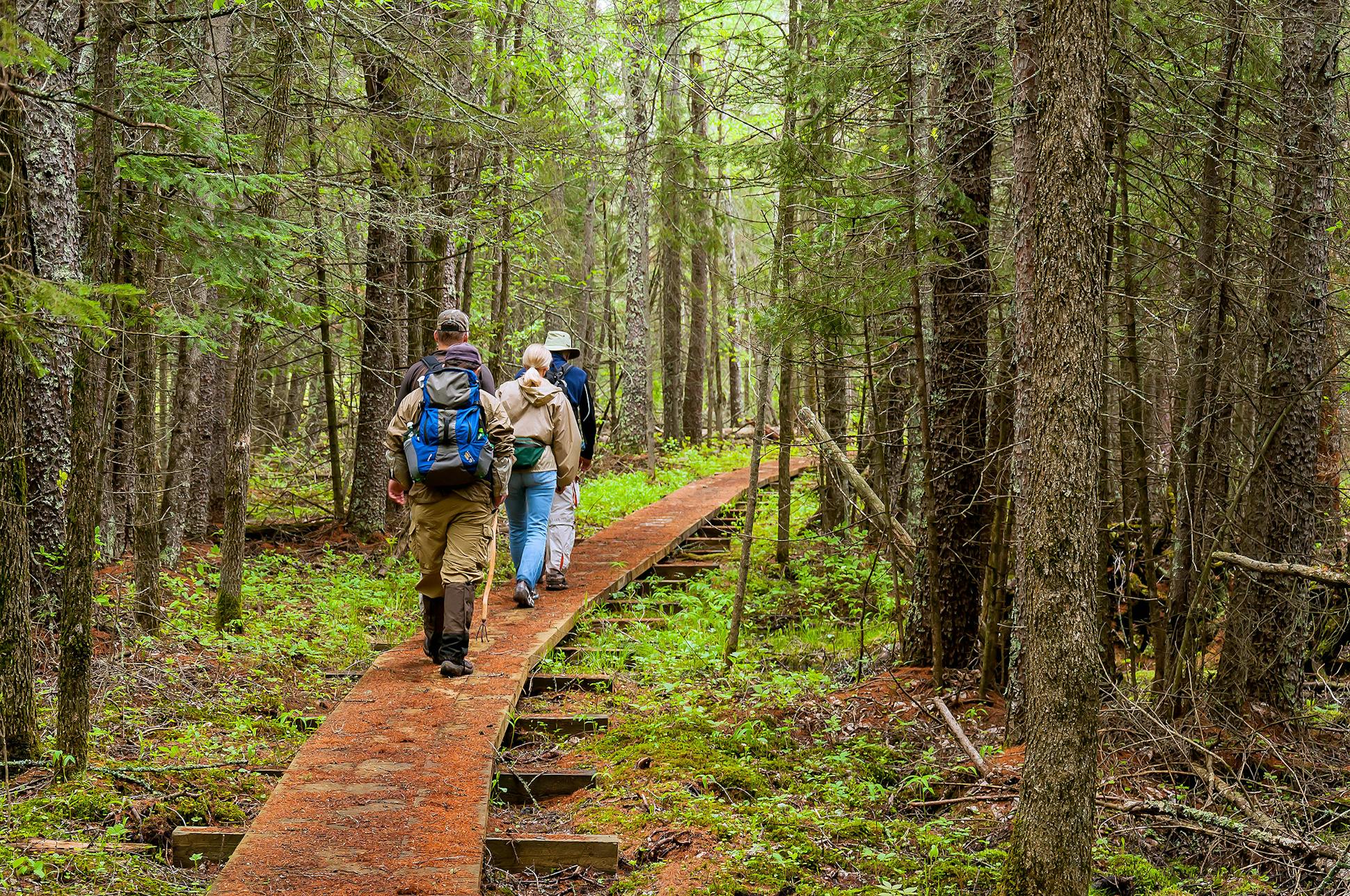 The North Country National Scenic Trail covers 800 miles in Minnesota. All told, the trail run 4,600 miles from North Dakota to upper New York State.