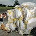 Chantel Schultz, 24, of Edmonton, worked on a piece made of Styrofoam. “I call them pods, but they reference wombs or intestines or some type of bod