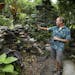 Steve Danielson built a stacked stone “grotto” water feature in his Maplewood yard featured on the Minnesota Water Garden Tour July 28-29.