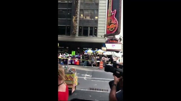 Bees swarm Times Square hot dog stand