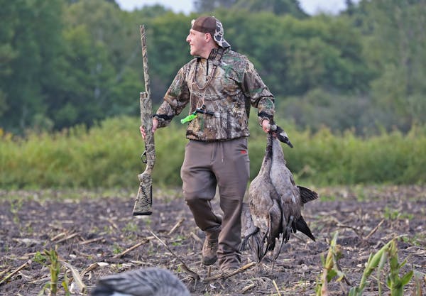 Mitch Lunda toted a pair of Canada geese back to his blind while hunting in the east metro Saturday, opening day of the early goose season. Success ca