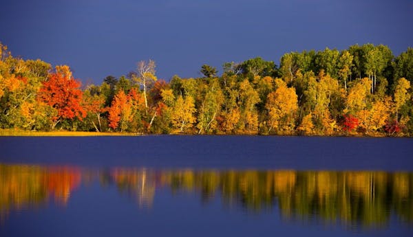 The early morning sun illuminated the reds, yellows and browns at a lake near Duluth.